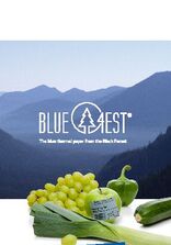Blue4est® Pro Flyer